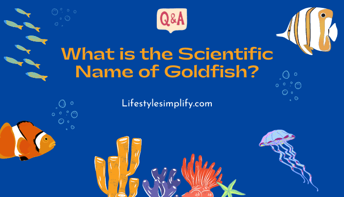 What is the Scientific Name of Goldfish