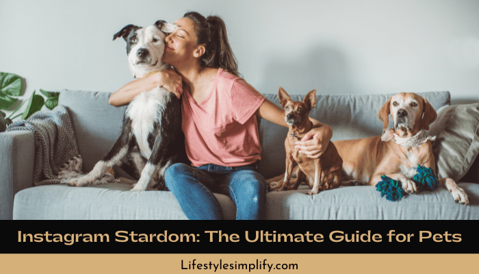 Instagram Stardom The Ultimate Guide for Pets